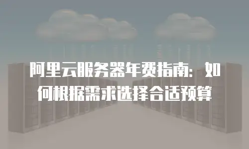 阿里云服务器年费指南：如何根据需求选择合适预算