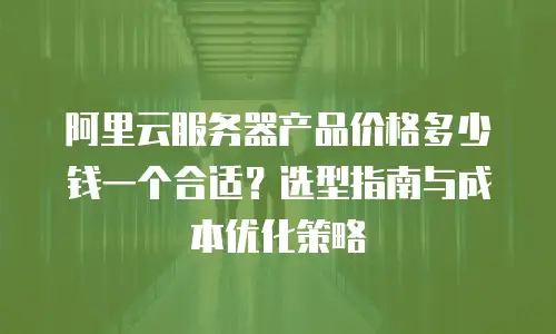 阿里云服务器产品价格多少钱一个合适？选型指南与成本优化策略