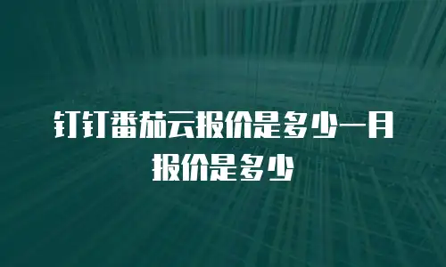 钉钉番茄云报价是多少一月报价是多少