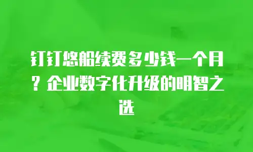 钉钉悠船续费多少钱一个月？企业数字化升级的明智之选