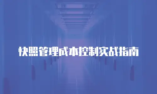快照管理成本控制实战指南