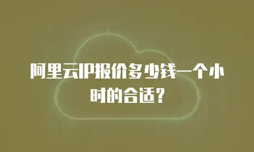 阿里云IP报价多少钱一个小时的合适？