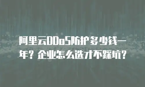 阿里云DDoS防护多少钱一年？企业怎么选才不踩坑？
