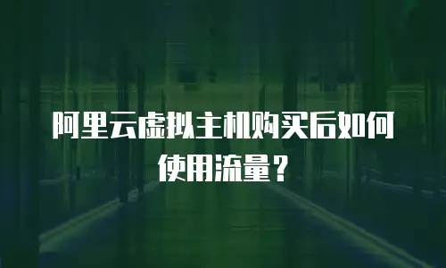 阿里云虚拟主机购买后如何使用流量？