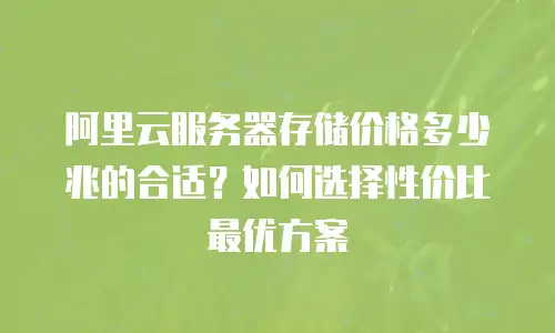 阿里云服务器存储价格多少兆的合适？如何选择性价比最优方案