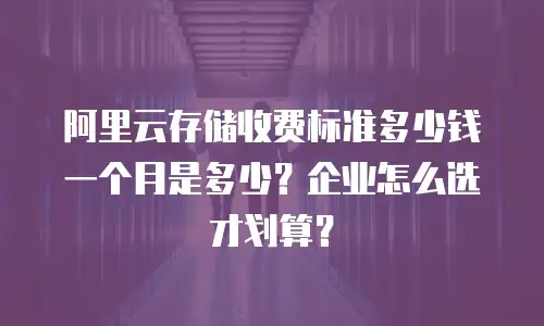 阿里云存储收费标准多少钱一个月是多少？企业怎么选才划算？
