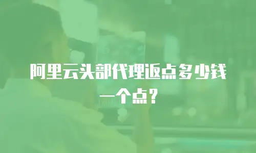 阿里云头部代理返点多少钱一个点？
