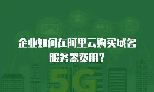 企业如何在阿里云购买域名服务器费用？