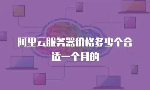 阿里云服务器价格多少个合适一个月的