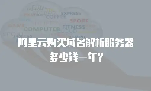 阿里云购买域名解析服务器多少钱一年？