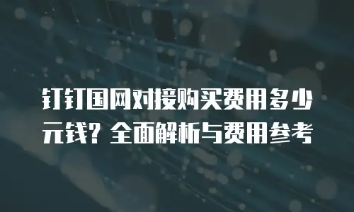 钉钉国网对接购买费用多少元钱？全面解析与费用参考