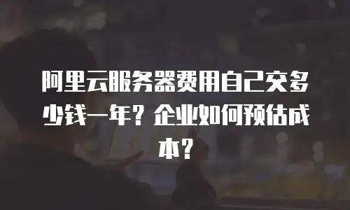 阿里云服务器费用自己交多少钱一年？企业如何预估成本？