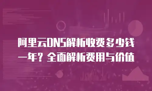 阿里云DNS解析收费多少钱一年？全面解析费用与价值