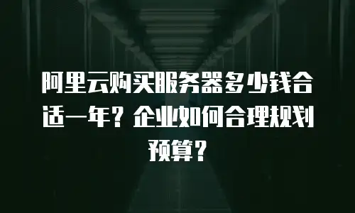 阿里云购买服务器多少钱合适一年？企业如何合理规划预算？