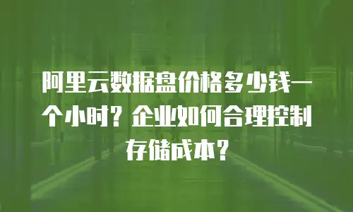 阿里云数据盘价格多少钱一个小时？企业如何合理控制存储成本？