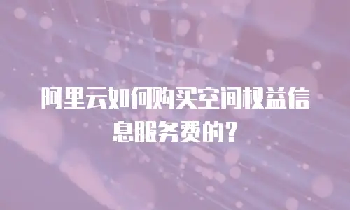阿里云如何购买空间权益信息服务费的？