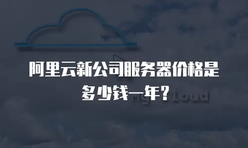 阿里云新公司服务器价格是多少钱一年？