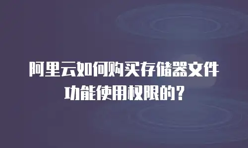 阿里云如何购买存储器文件功能使用权限的？
