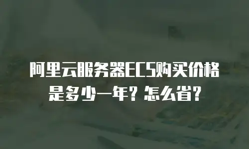 阿里云服务器ECS购买价格是多少一年？怎么省？