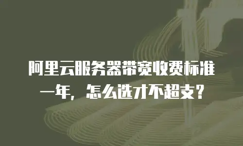 阿里云服务器带宽收费标准一年，怎么选才不超支？