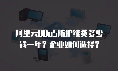 阿里云DDoS防护续费多少钱一年？企业如何选择？