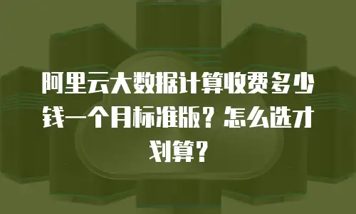 阿里云大数据计算收费多少钱一个月标准版？怎么选才划算？