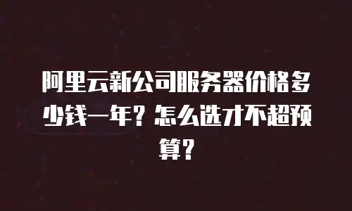 阿里云新公司服务器价格多少钱一年？怎么选才不超预算？