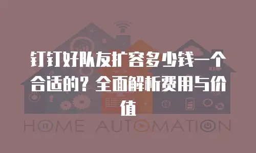 钉钉好队友扩容多少钱一个合适的？全面解析费用与价值