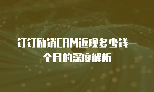 钉钉励销CRM返现多少钱一个月的深度解析
