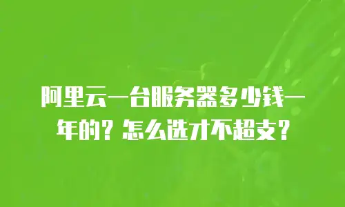阿里云一台服务器多少钱一年的？怎么选才不超支？