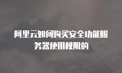 阿里云如何购买安全功能服务器使用权限的
