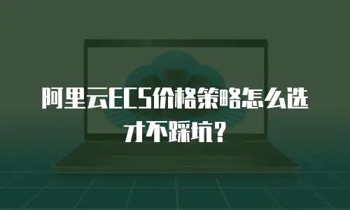 阿里云ECS价格策略怎么选才不踩坑？