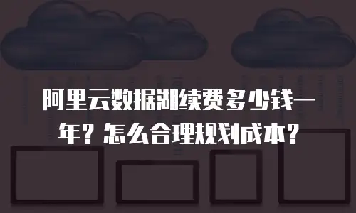 阿里云数据湖续费多少钱一年？怎么合理规划成本？