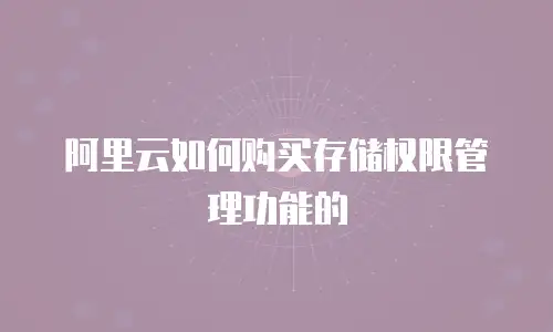 阿里云如何购买存储权限管理功能的