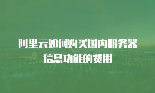 阿里云如何购买国内服务器信息功能的费用