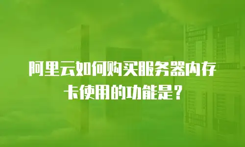 阿里云如何购买服务器内存卡使用的功能是？