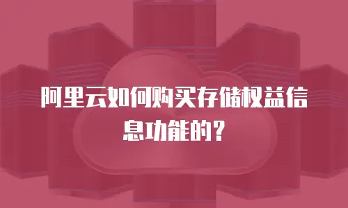 阿里云如何购买存储权益信息功能的？