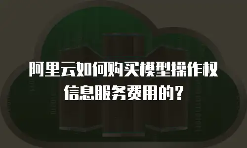阿里云如何购买模型操作权信息服务费用的？