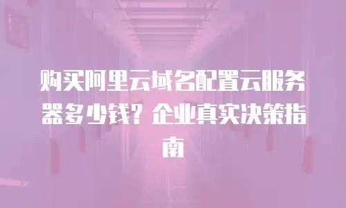 购买阿里云域名配置云服务器多少钱？企业真实决策指南