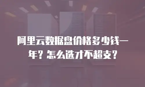 阿里云数据盘价格多少钱一年？怎么选才不超支？