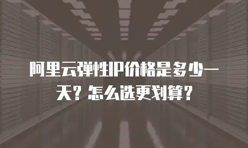 阿里云弹性IP价格是多少一天？怎么选更划算？