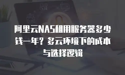 阿里云NAS租用服务器多少钱一年？多云环境下的成本与选择逻辑