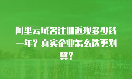 阿里云域名注册返现多少钱一年？真实企业怎么选更划算？