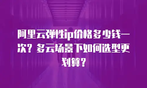 阿里云弹性ip价格多少钱一次？多云场景下如何选型更划算？