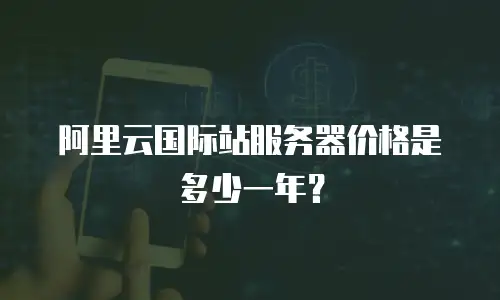 阿里云国际站服务器价格是多少一年？