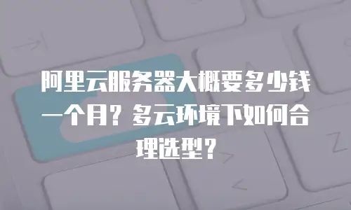 阿里云服务器大概要多少钱一个月？多云环境下如何合理选型？