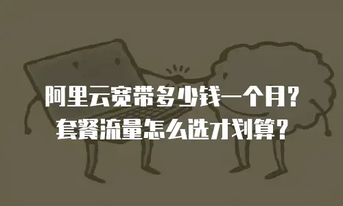 阿里云宽带多少钱一个月？套餐流量怎么选才划算？
