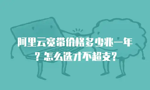 阿里云宽带价格多少兆一年？怎么选才不超支？