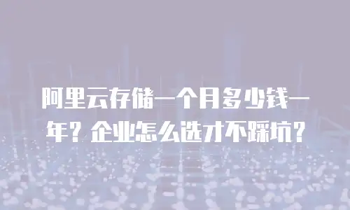 阿里云存储一个月多少钱一年？企业怎么选才不踩坑？