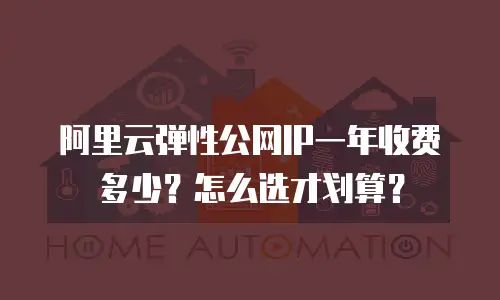 阿里云弹性公网IP一年收费多少？怎么选才划算？